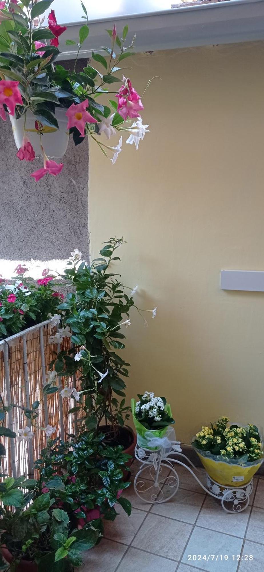 Residenza Del Sepale Apartment Viterbo Luaran gambar
